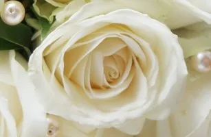Gallaghers Flowers logo