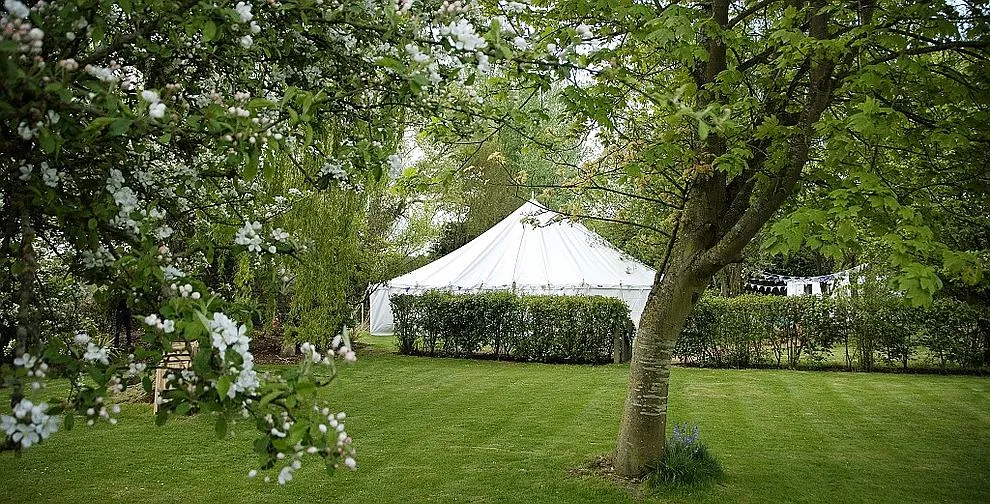 A marquee rising behind a garden hedge