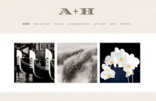 Sketchanet, wedding website design logo